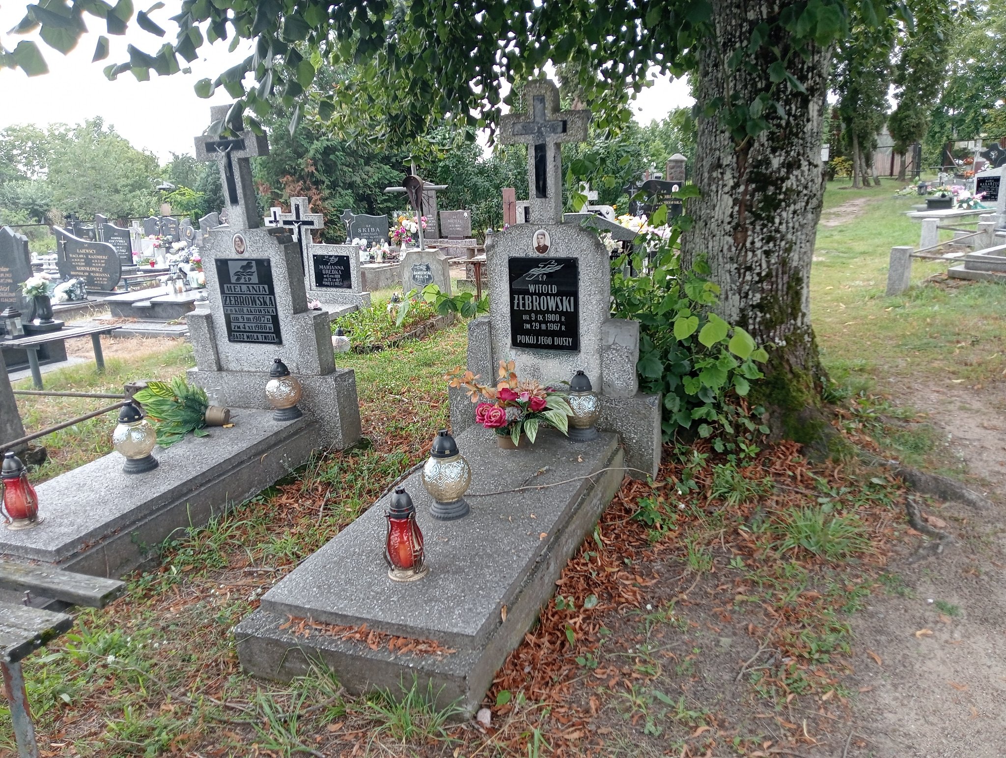 Grób Witold Żebrowski